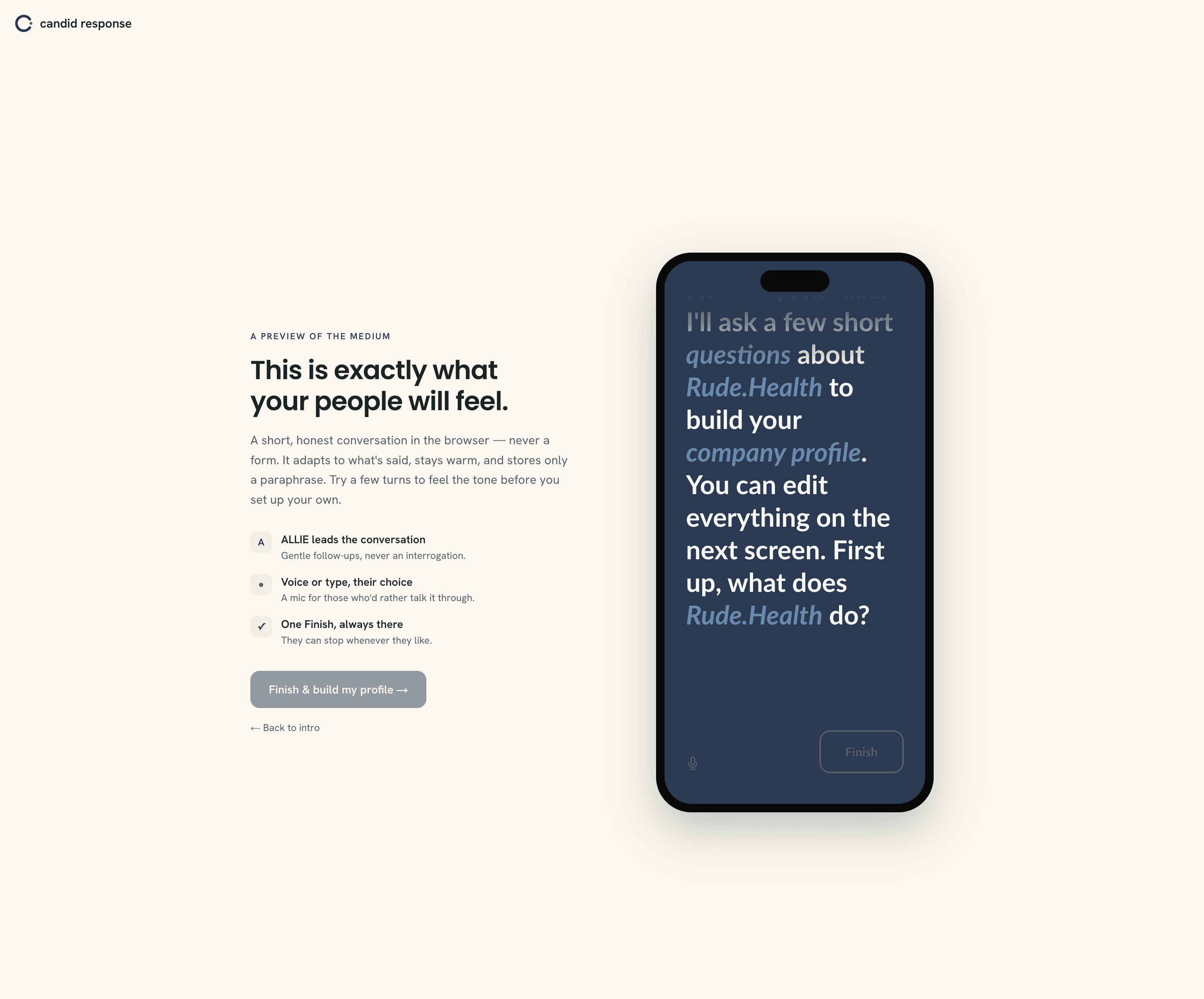 The setup conversation, with a phone preview of Allie asking what the company does.